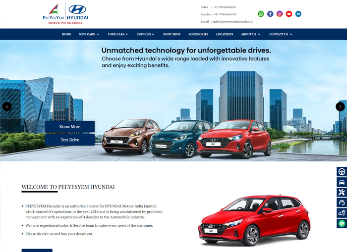 Brawn Automobiles Case Study